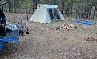 Barbara L.'s photo at Forest Service Road #205 Lower Dispersed Camping in Arizona