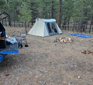 Camper-submitted photo from Forest Service Road #205 Lower Dispersed Camping