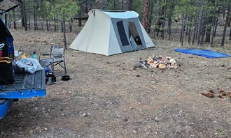Camping near Kaibab Camper Village: Forest Service Road #205 Lower Dispersed Camping, Jacob Lake, Arizona