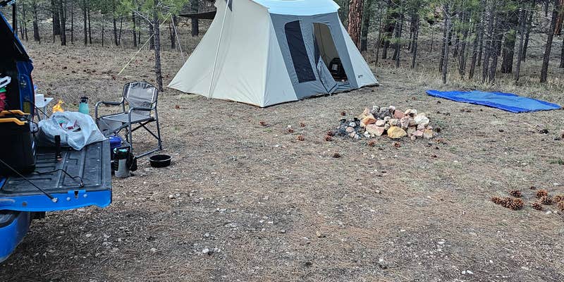 Camper submitted image from Forest Service Road #205 Lower Dispersed Camping