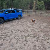 Review photo of Forest Service Road #205 Lower Dispersed Camping by Barbara L., April 23, 2024