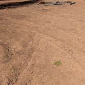 Review photo of Forest Service Road 245 by Vidalia S., March 11, 2026