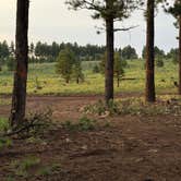 Review photo of Forest Service Road 245 by Erich B., August 11, 2026