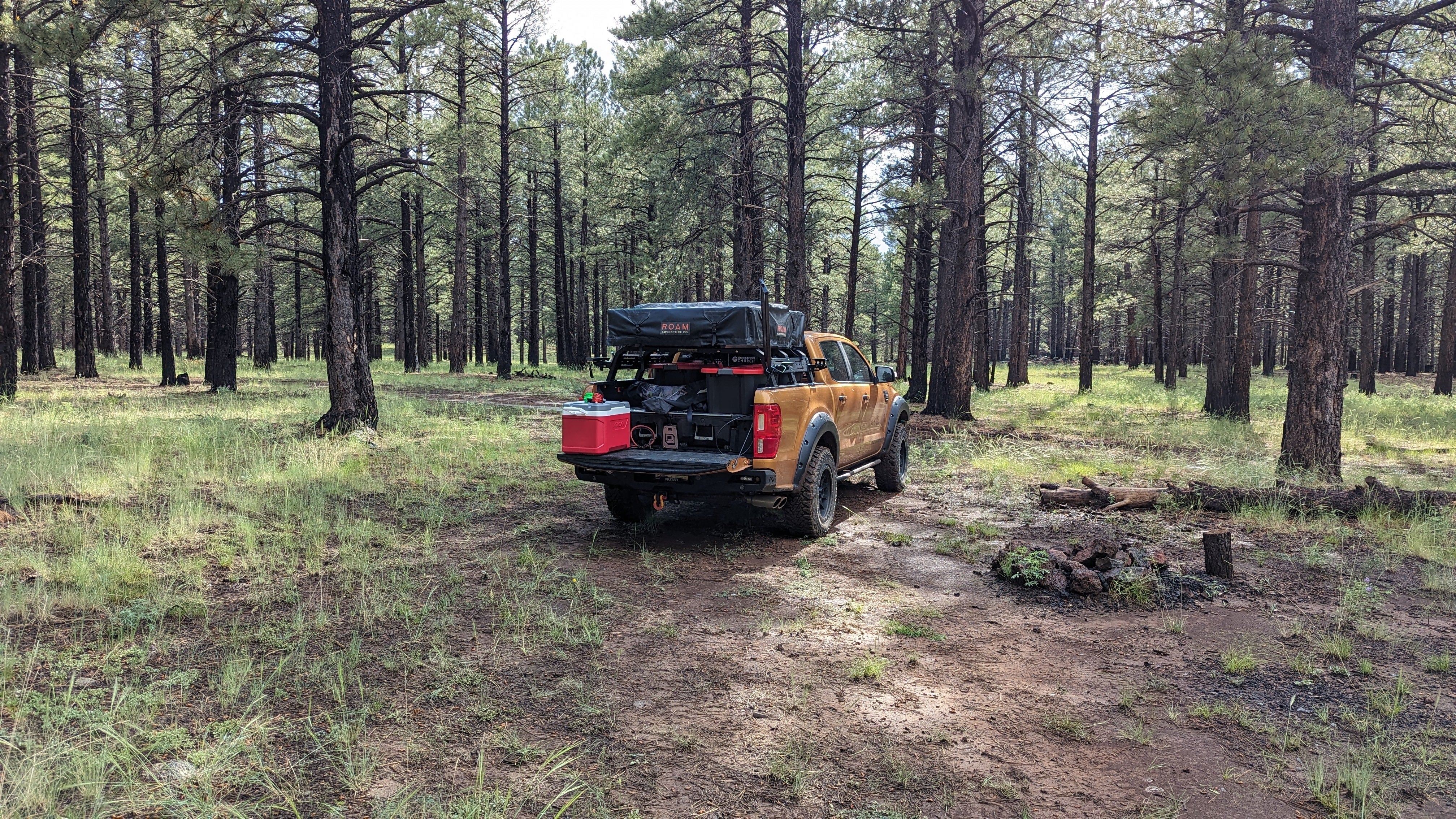 Camper submitted image from Forest Service Road 245 - 5