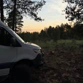 Review photo of Forest Service Road 245 by Erich B., August 11, 2026