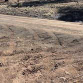 Review photo of Forest Service Road 245 by Vidalia S., March 11, 2026