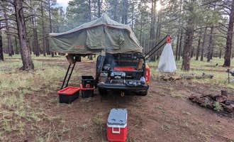 Camping near Raymond Tank: Forest Service Road 245, Bellemont, Arizona