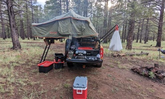 Camping near Lava Tube Cave Path on Forest Road 171: Forest Service Road 245, Bellemont, Arizona