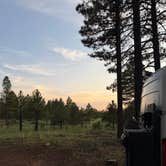 Review photo of Forest Service Road 245 by Erich B., August 11, 2026