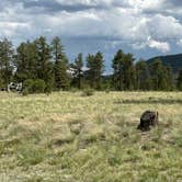 Review photo of Forest Service Road 250 Dispersed by James P., June 11, 2024