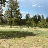 Review photo of Forest Service Road 250 Dispersed by James P., June 11, 2024