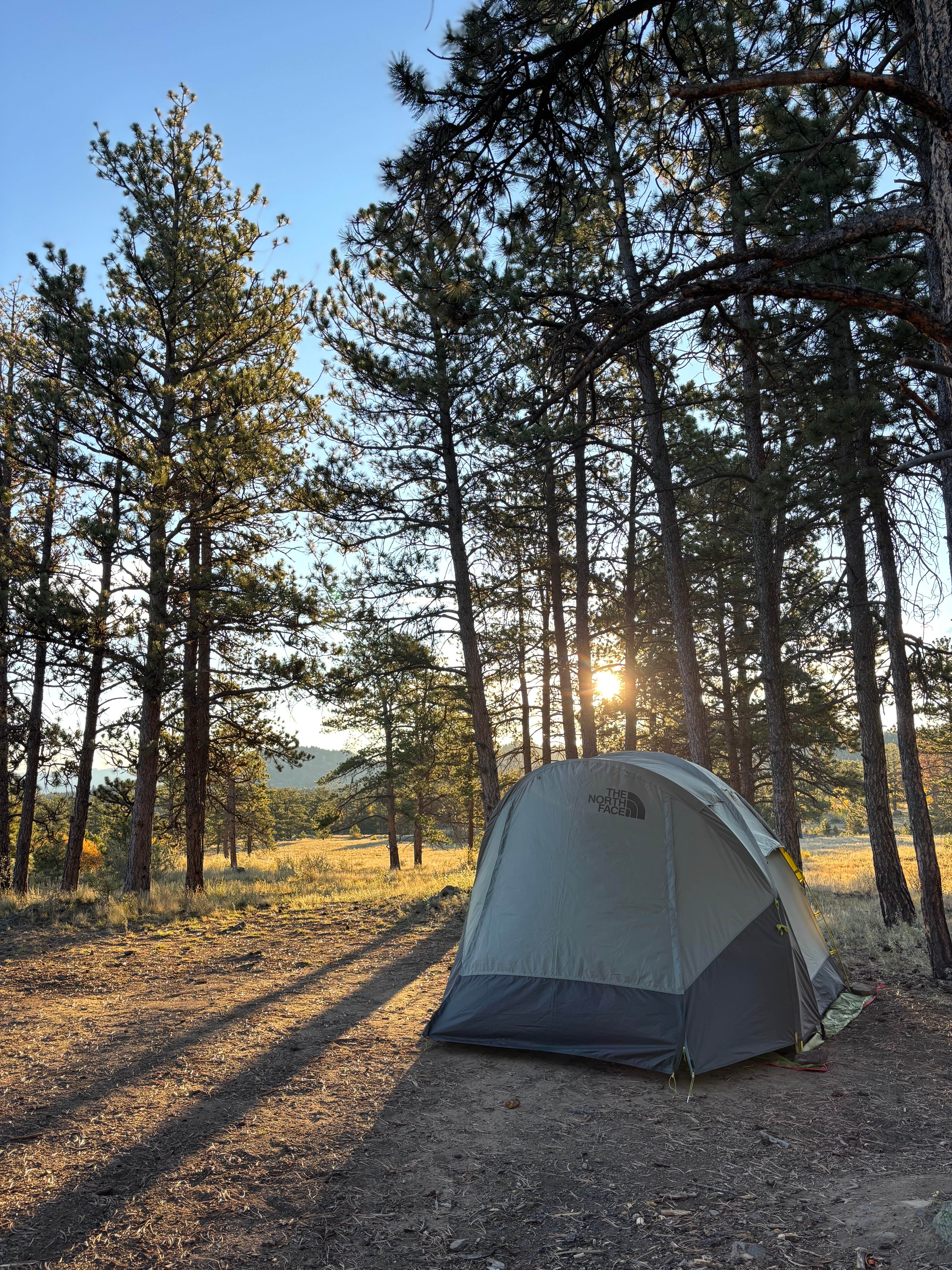 Camper-submitted photo at Forest Service Road 250 Dispersed near Lake George, CO