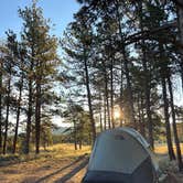 Review photo of Forest Service Road 250 Dispersed by Daniel C., October 8, 2025