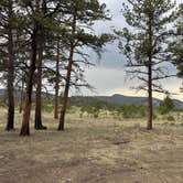 Review photo of Forest Service Road 250 Dispersed by Rick R., September 8, 2025