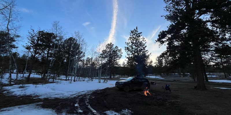 Camper submitted image from Forest Service Road 250 Dispersed