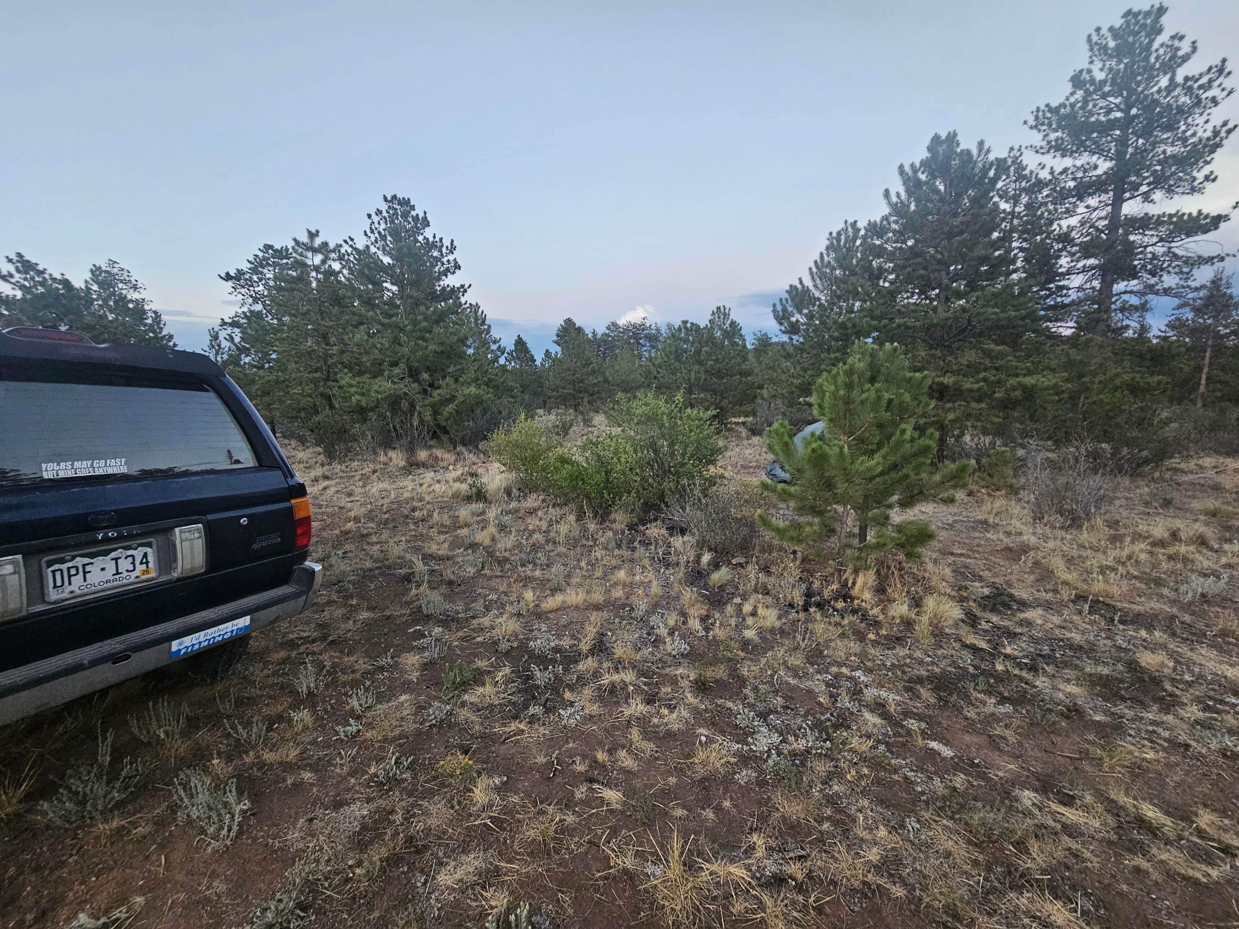 Camper-submitted photo at Forest Service Road 250 Dispersed near Lake George, CO