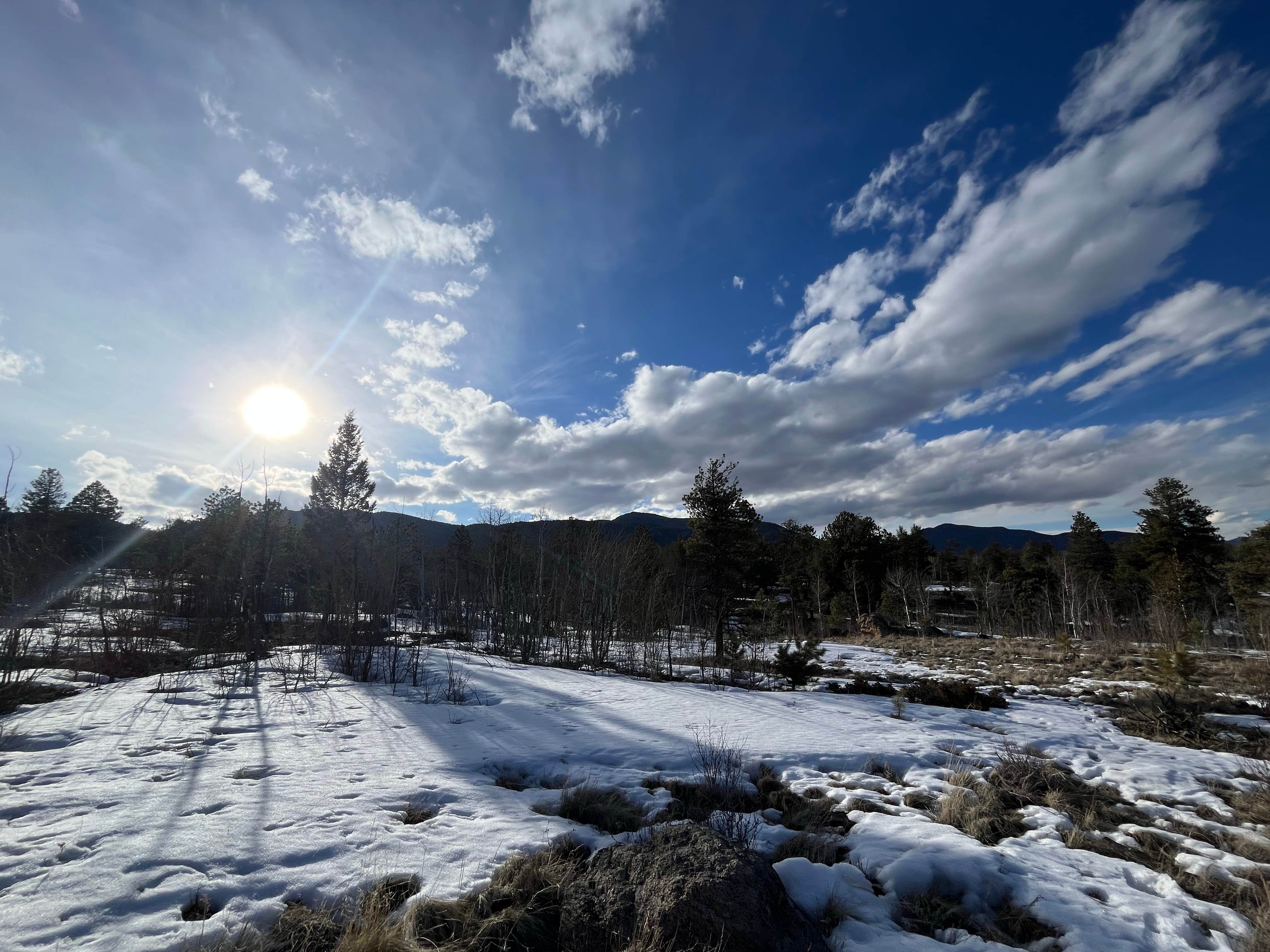 David K.'s photo of a dispersed camping area at Forest Service Road 250 Dispersed near Pike and San Isabel National Forests and Cimarron and Comanche National Grasslands