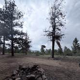 Review photo of Forest Service Road 250 Dispersed by Taylor W., June 14, 2026