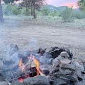 Review photo of Forest Service Road 250 Dispersed by Taylor W., June 14, 2026