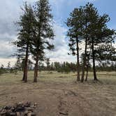 Review photo of Forest Service Road 250 Dispersed by Rick R., September 8, 2025