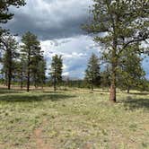 Review photo of Forest Service Road 250 Dispersed by James P., June 11, 2024