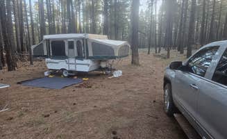 Jon's photo at Forest Service Road 253, JVC near Munds Park, AZ