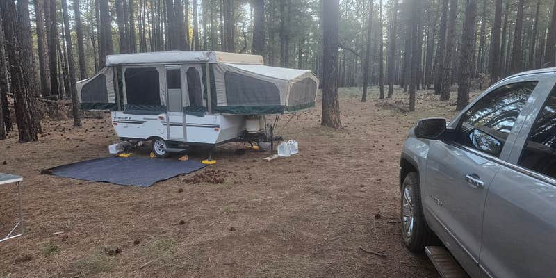 Camper submitted image from Forest Service Road 253, JVC