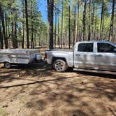 Review photo of Forest Service Road 253, JVC by Jon , May 22, 2024