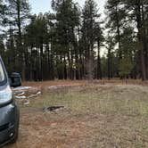 Review photo of Forest Service Road 253 Dispersed by Ismenia I., December 7, 2025
