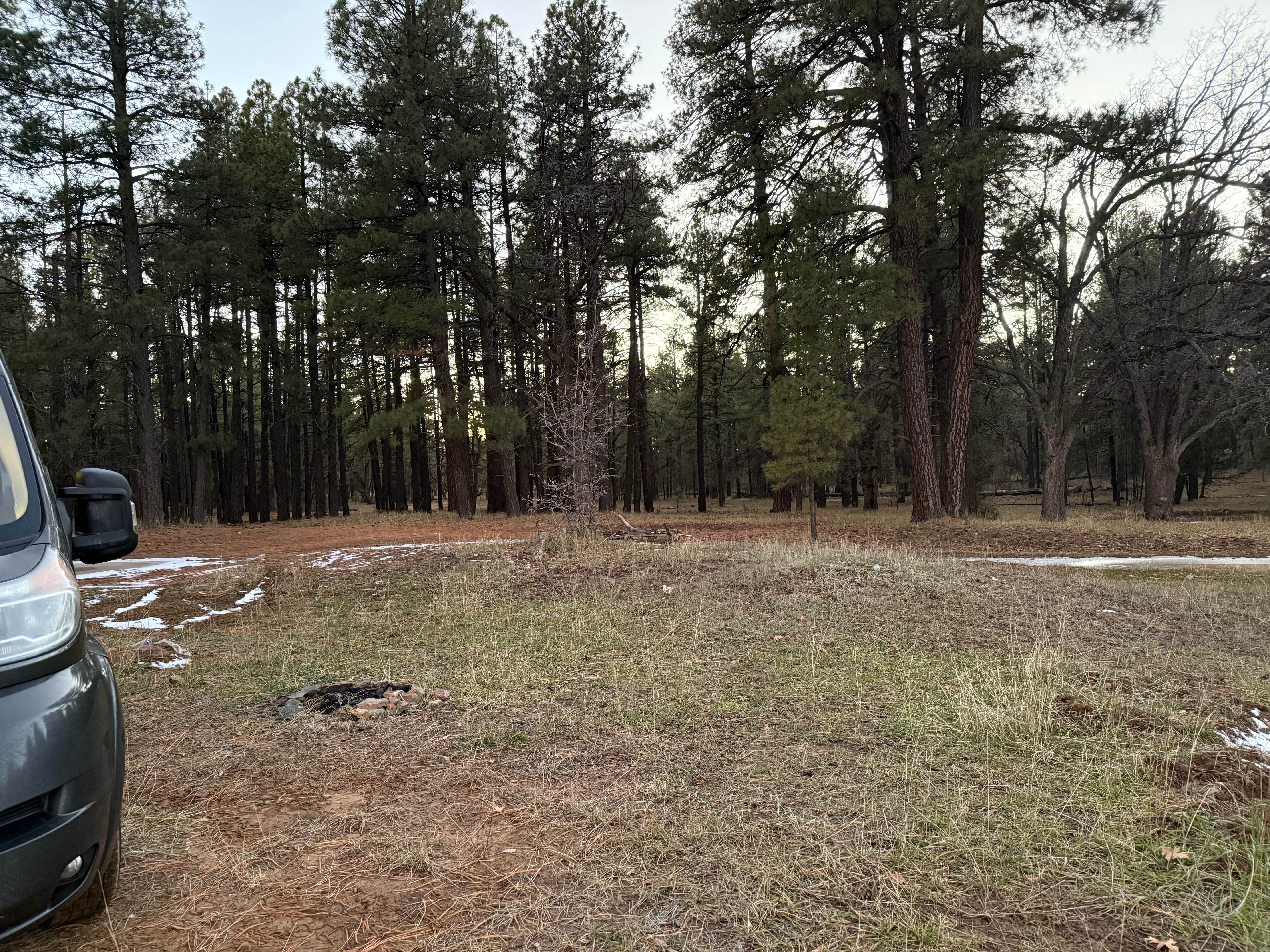 Camper submitted image from Forest Service Road 253 Dispersed - 1