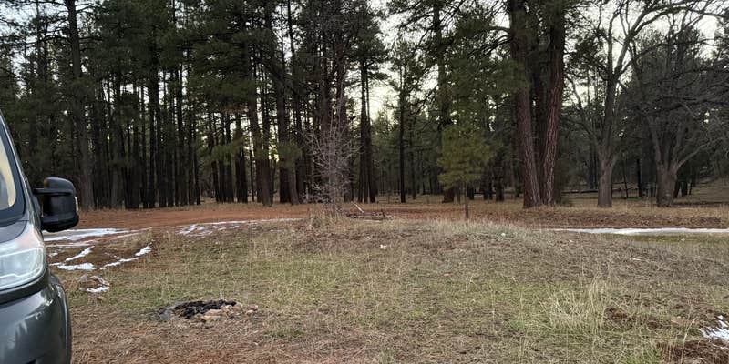 Camper submitted image from Forest Service Road 253 Dispersed