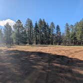 Review photo of Forest Service Road 253 Dispersed by Rick M., April 16, 2025