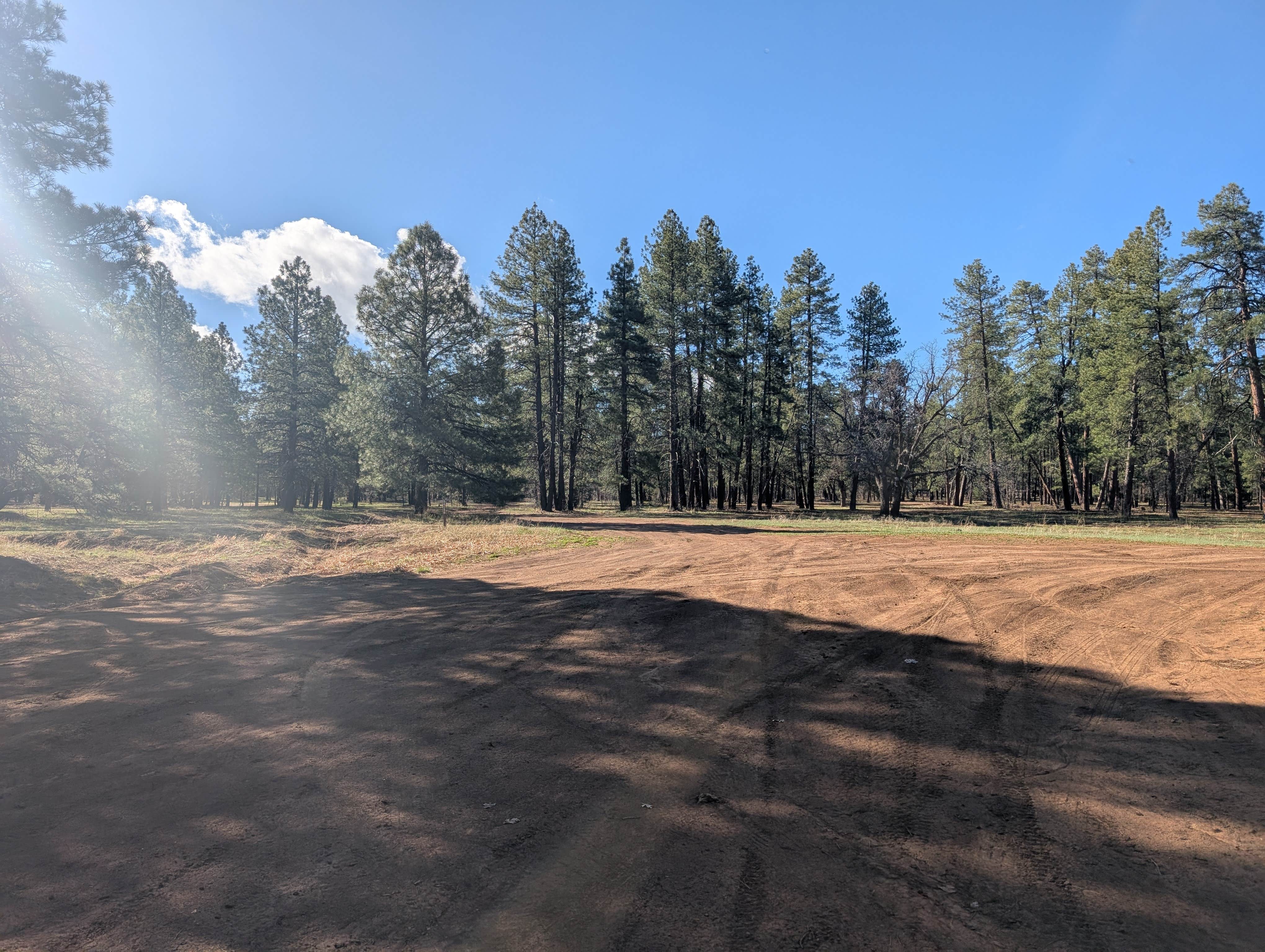 Camper submitted image from Forest Service Road 253 Dispersed - 3