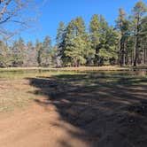 Review photo of Forest Service Road 253 Dispersed by Rick M., April 16, 2025