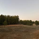 Review photo of Forest Service Road 253 Dispersed by Ismenia I., December 7, 2025