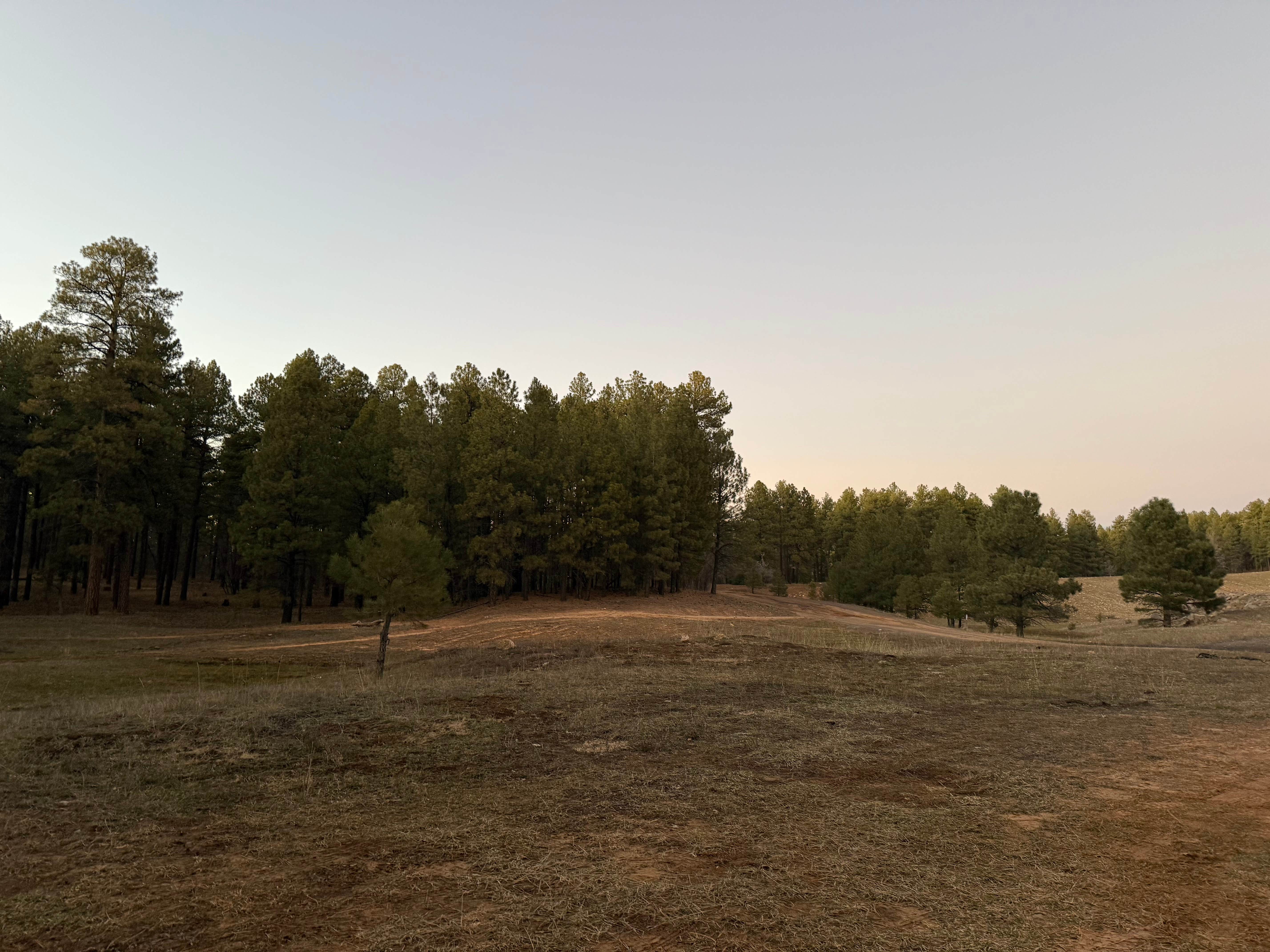 Camper submitted image from Forest Service Road 253 Dispersed - 4