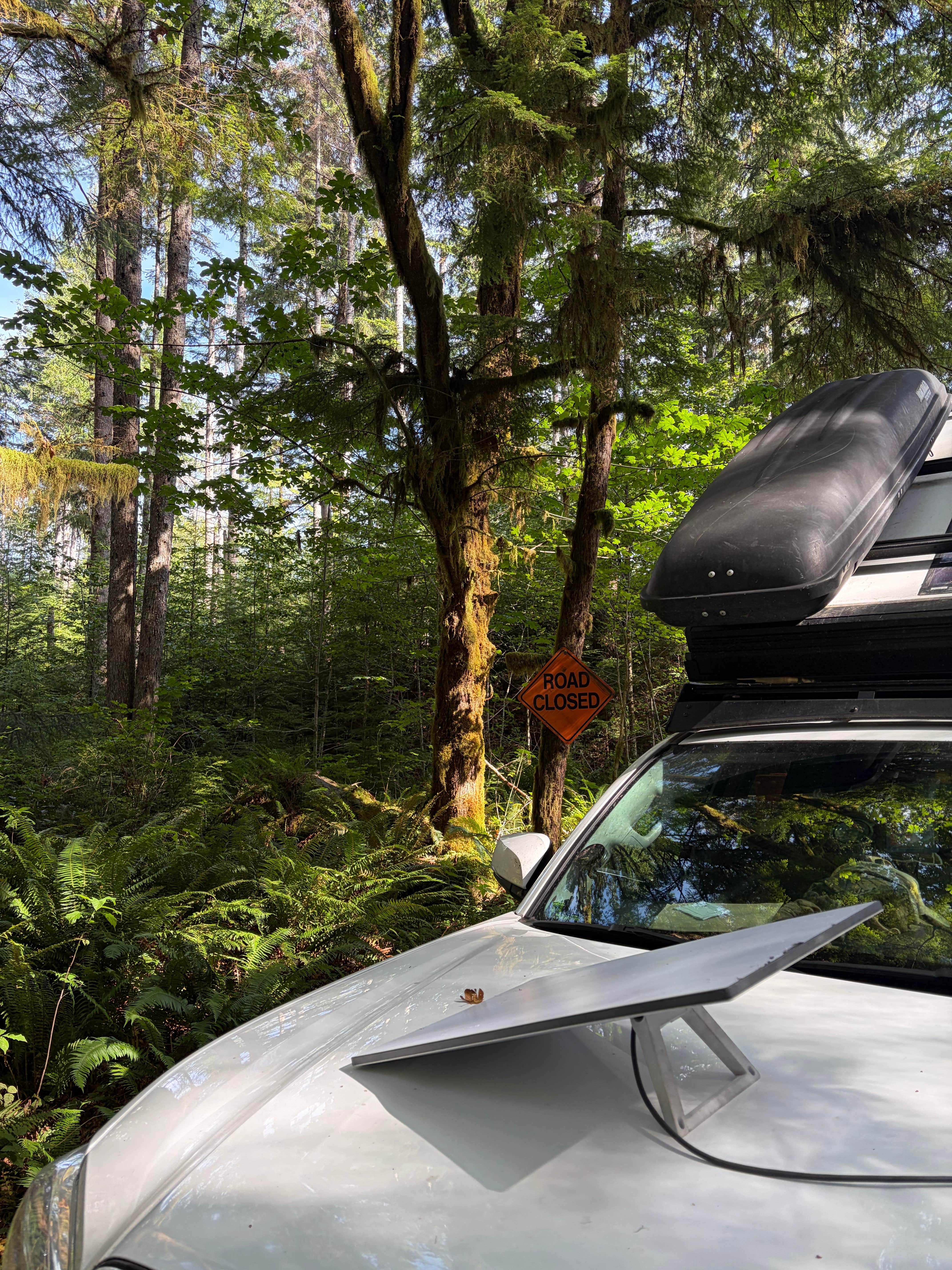 Camper-submitted photo at Forest Service Road 29 Dispersed Camping Loop near Port Angeles, WA