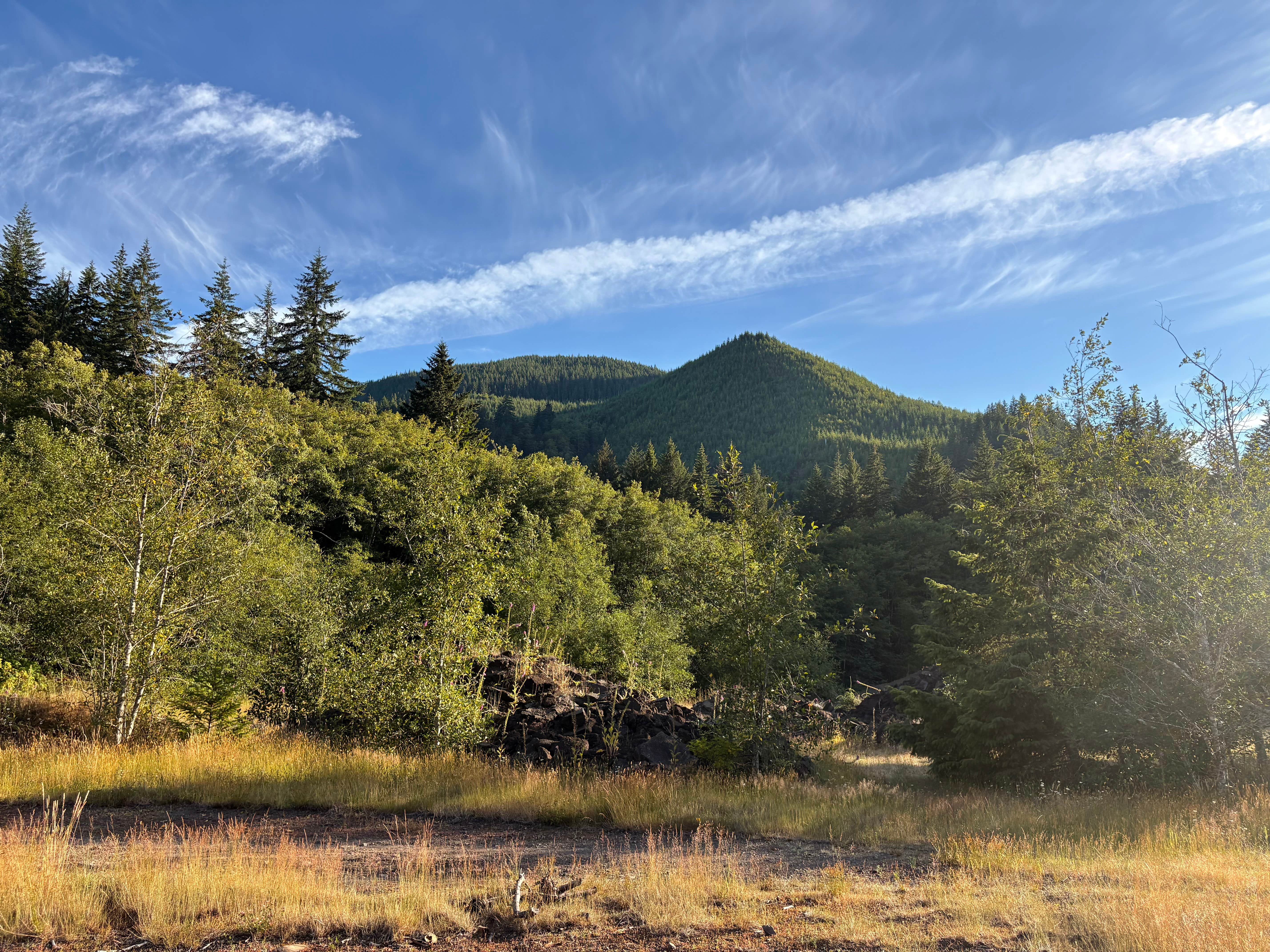 Camper submitted image from Forest Service Road 29 Dispersed Camping Loop - 1
