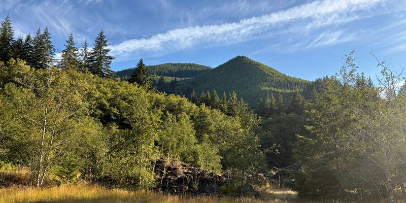 Camper submitted image from Forest Service Road 29 Dispersed Camping Loop