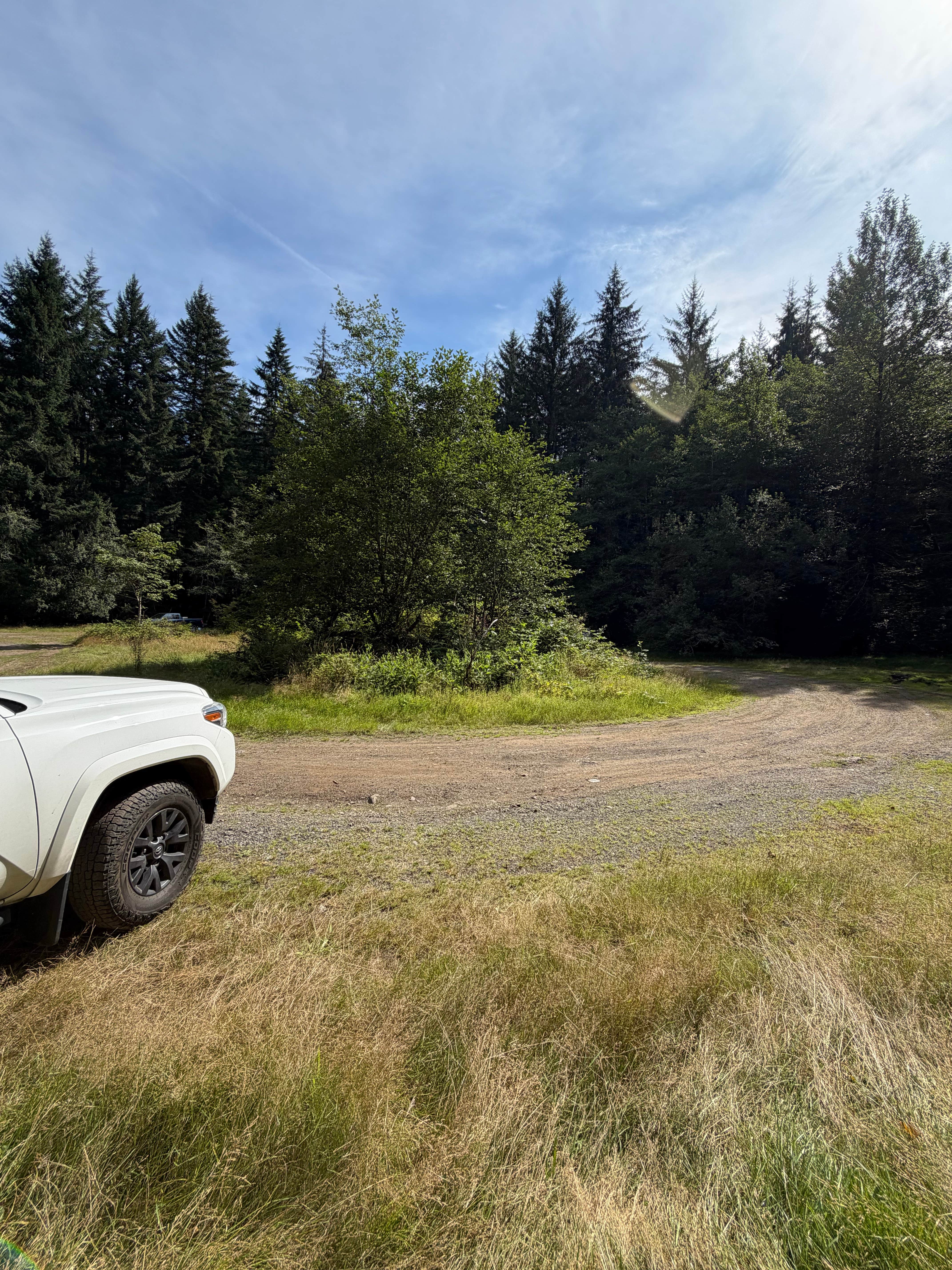 Camper-submitted photo at Forest Service Road 29 Dispersed Camping Loop near Port Angeles, WA