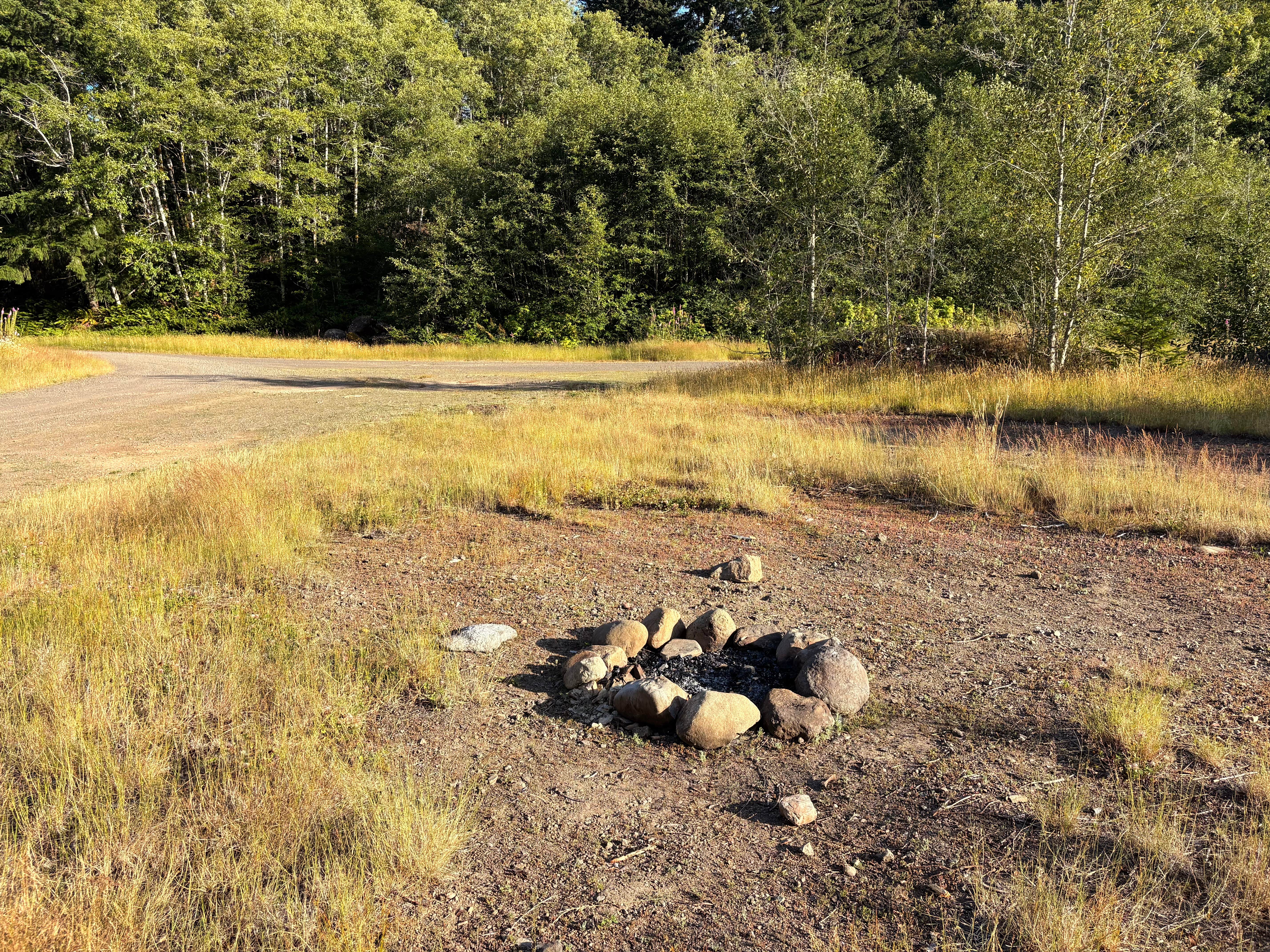 Camper-submitted photo at Forest Service Road 29 Dispersed Camping Loop near Forks, WA