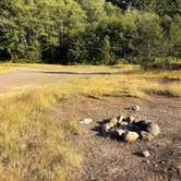 Review photo of Forest Service Road 29 Dispersed Camping Loop by Liona L., July 13, 2025