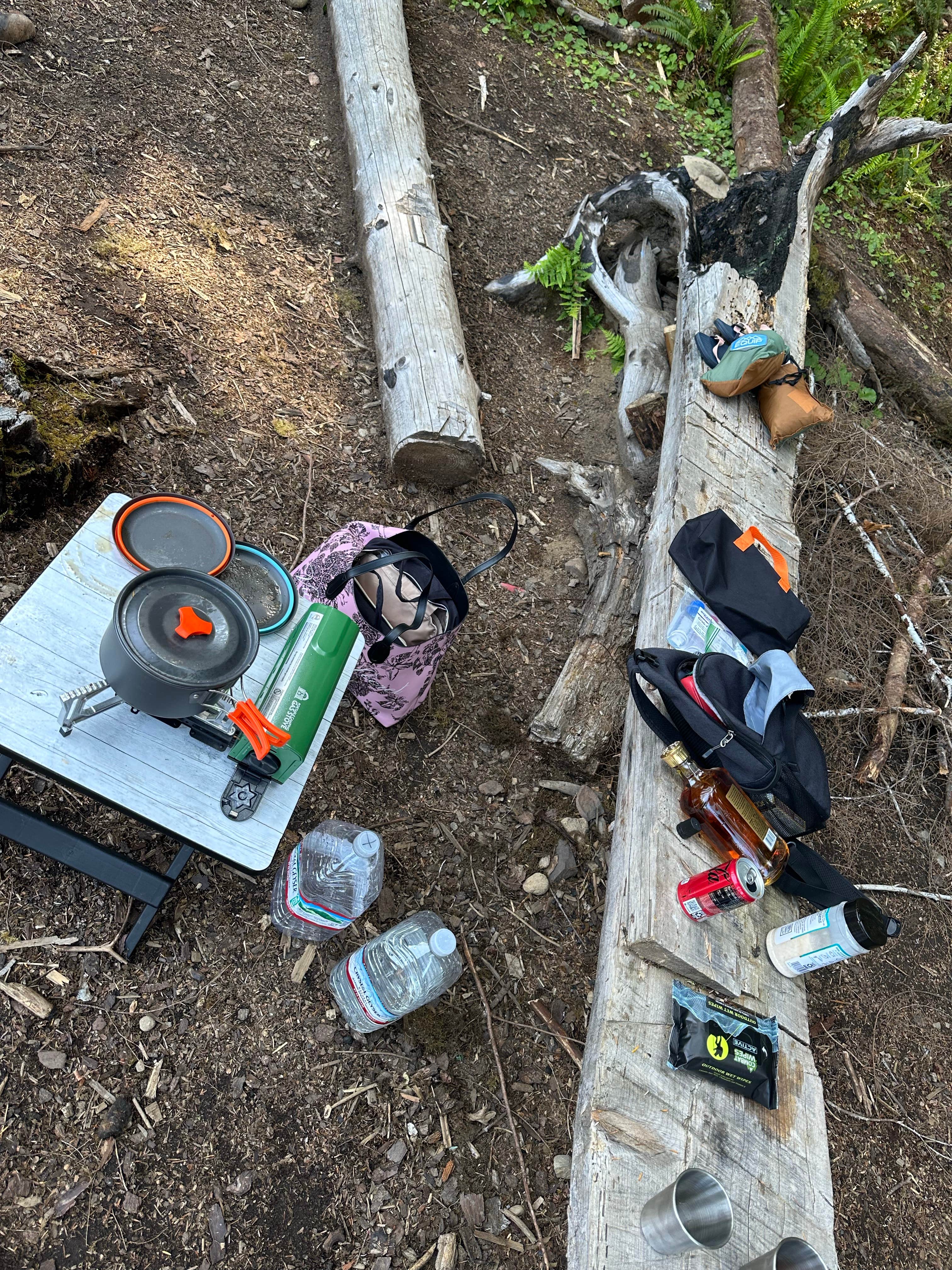 Camper submitted image from Forest Service Road 2918 Dispersed - 1