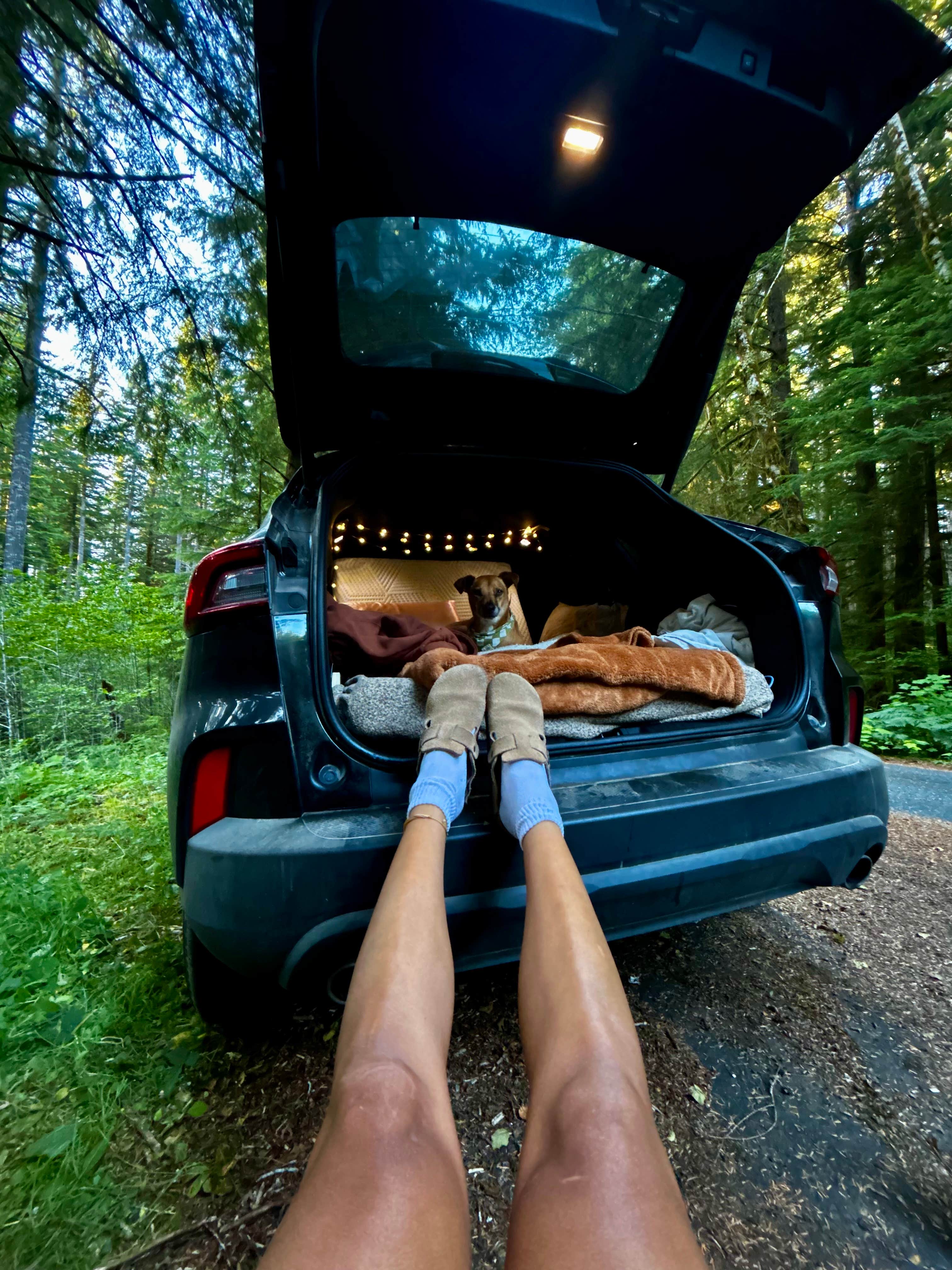 Camper-submitted photo at Forest Service Road 2918 Dispersed near Olympic National Park