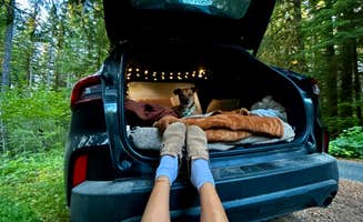 Mackenzie D.'s photo of camping with pets at Forest Service Road 2918 Dispersed near La Push, WA
