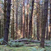 Review photo of Forest Service Road 2918 Dispersed by Steve M., September 30, 2026