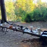 Review photo of Forest Service Road 2918 Dispersed by Steve M., September 30, 2026
