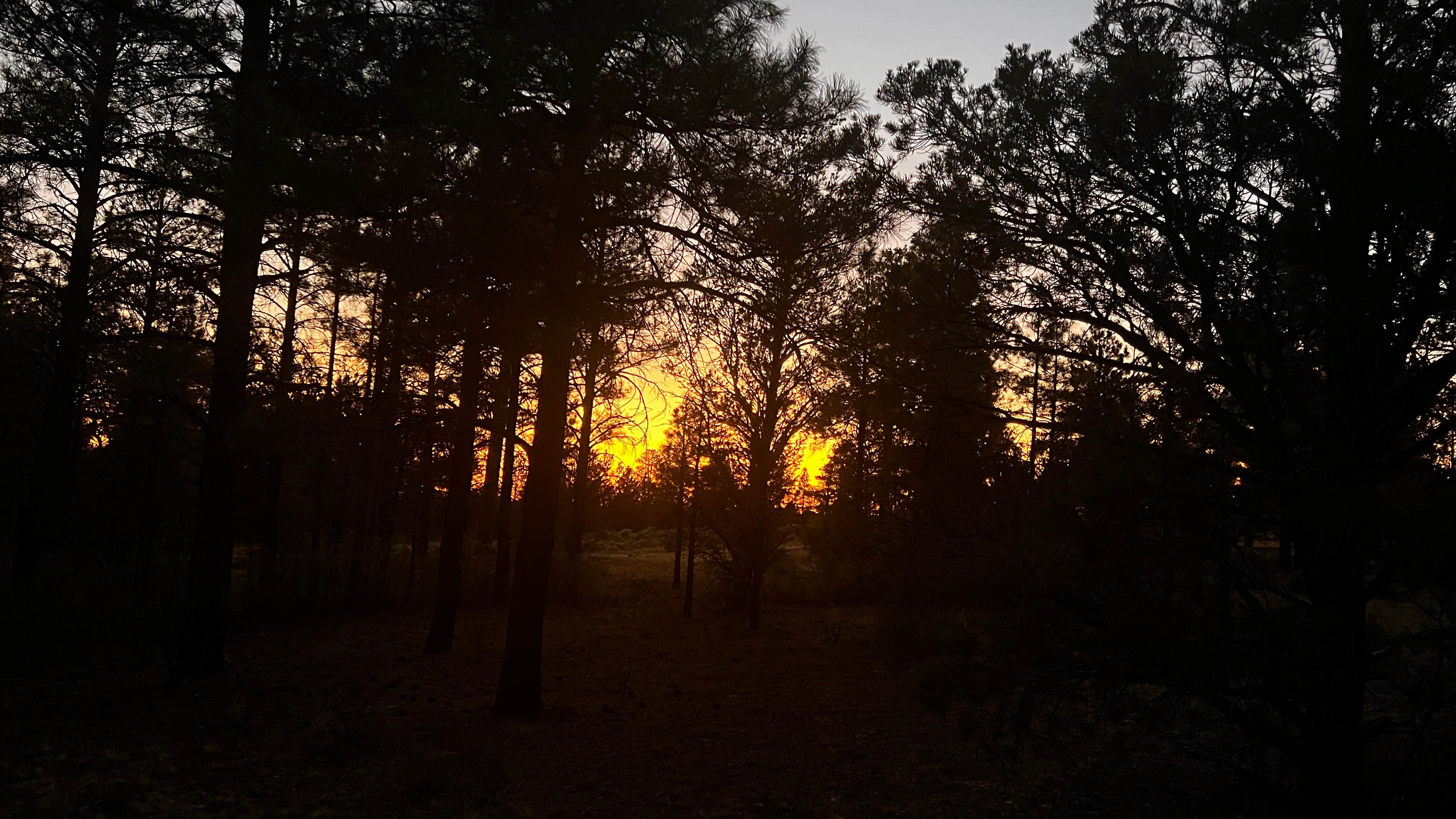 Camper-submitted photo at Forest Service Road 302 Dispersed near Grand Canyon, AZ