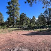 Review photo of Forest Service Road 328 Dispersed by Cameron L., August 19, 2024