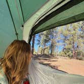 Review photo of Forest Service Road 328 Dispersed by Emma C., October 4, 2025